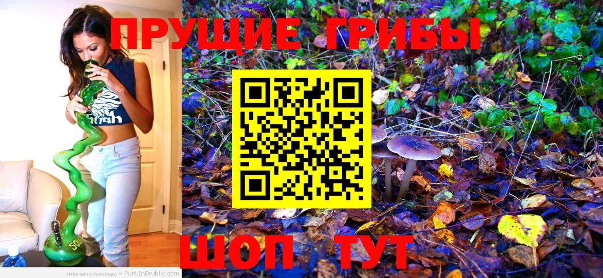 Черногорск  Псилоцибиновые грибы MAGIC MUSHROOMS  Вход с VPN 